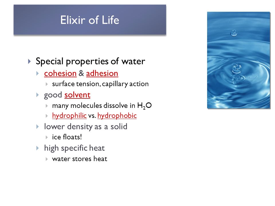 Speech on water elixir of life